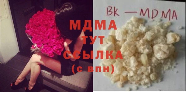 индика Медногорск