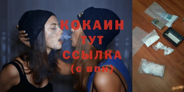 не бодяженный Арсеньев