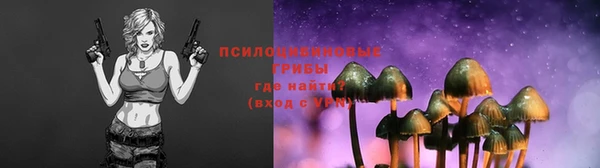 не бодяженный Арсеньев