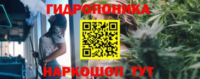 прущие крисы Аргун