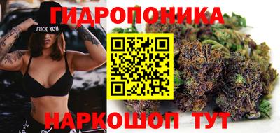 прущие крисы Аргун