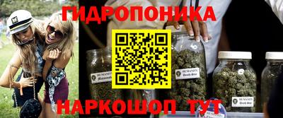шишки Балаково