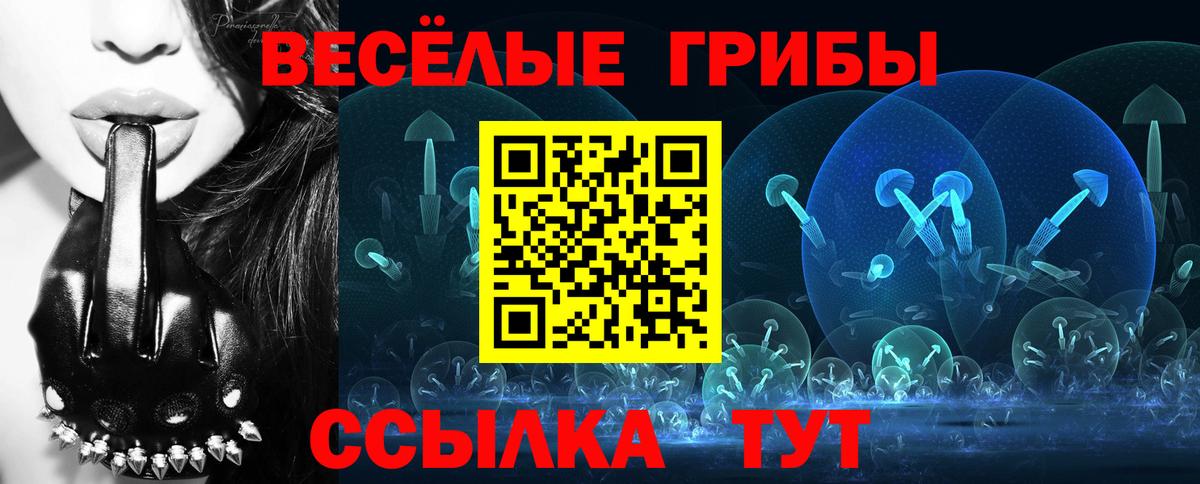 Псилоцибиновые грибы Psilocybe Белая Калитва