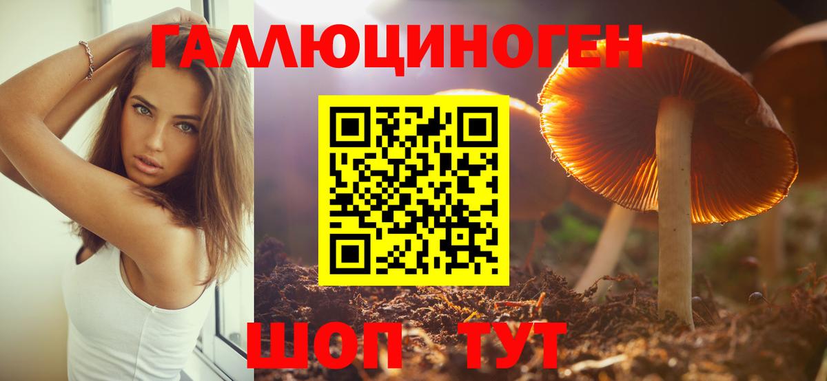 Псилоцибиновые грибы Magic Shrooms  даркнет сайт  Белая Калитва 